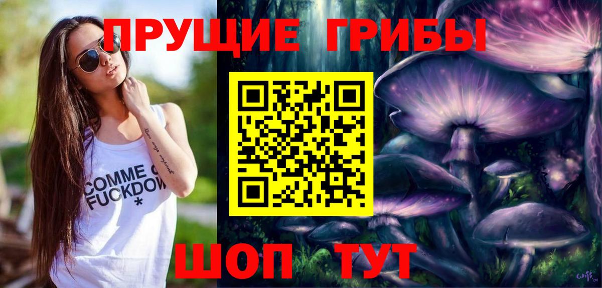 Псилоцибиновые грибы GOLDEN TEACHER Волжский